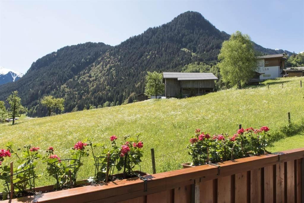Haus Monika Silvrettablick Villa Sankt Gallenkirch Ngoại thất bức ảnh